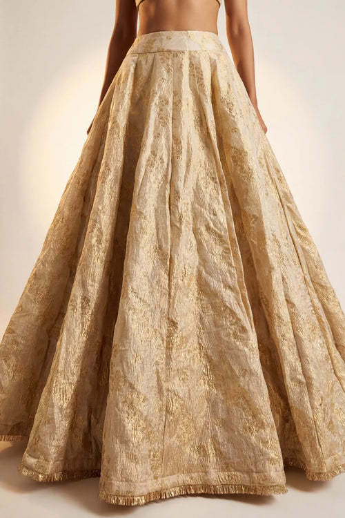 Banarasi Crush Tissue Lehenga Skirt