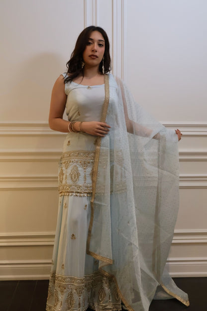 Aqua Zari Sharara Set