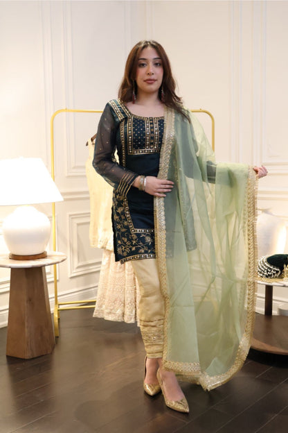 Emerald Zari Suit Set