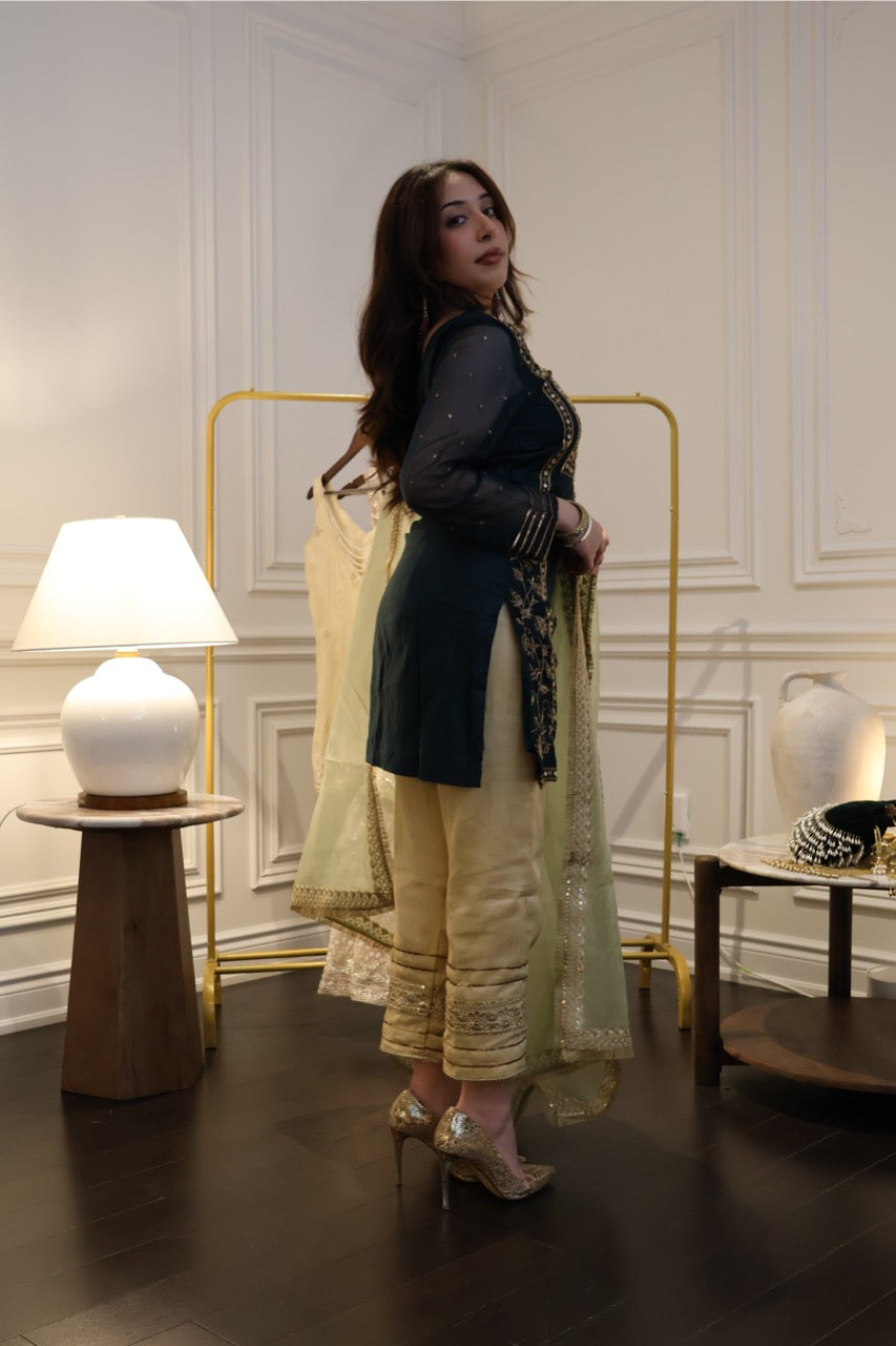 Emerald Zari Suit Set