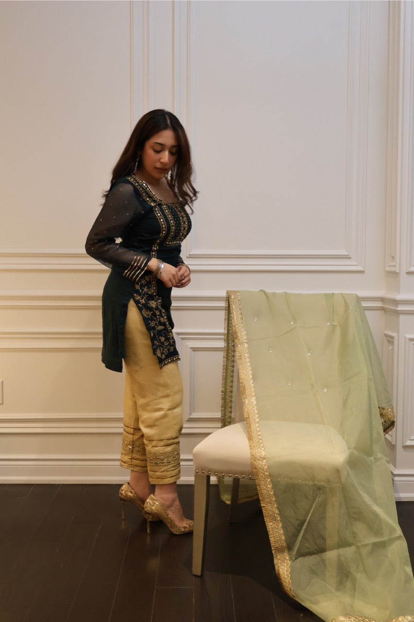 Emerald Zari Suit Set