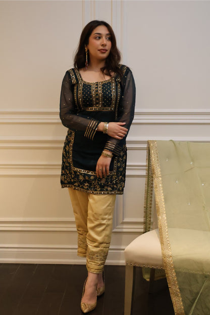 Emerald Zari Suit Set