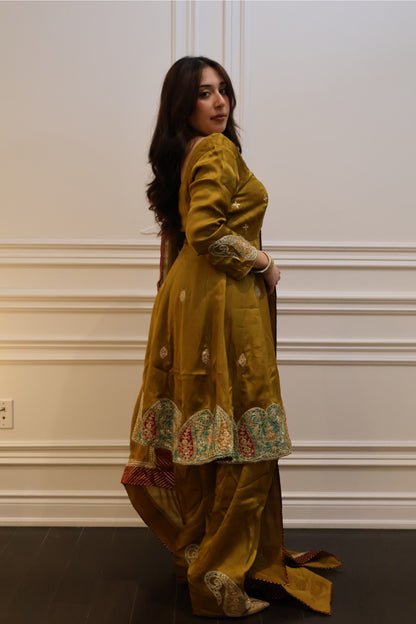 Olive Solace Suit Set