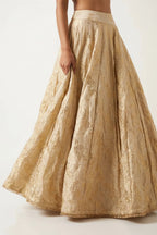 Banarasi Crush Tissue Lehenga Skirt - Dorie Atelier