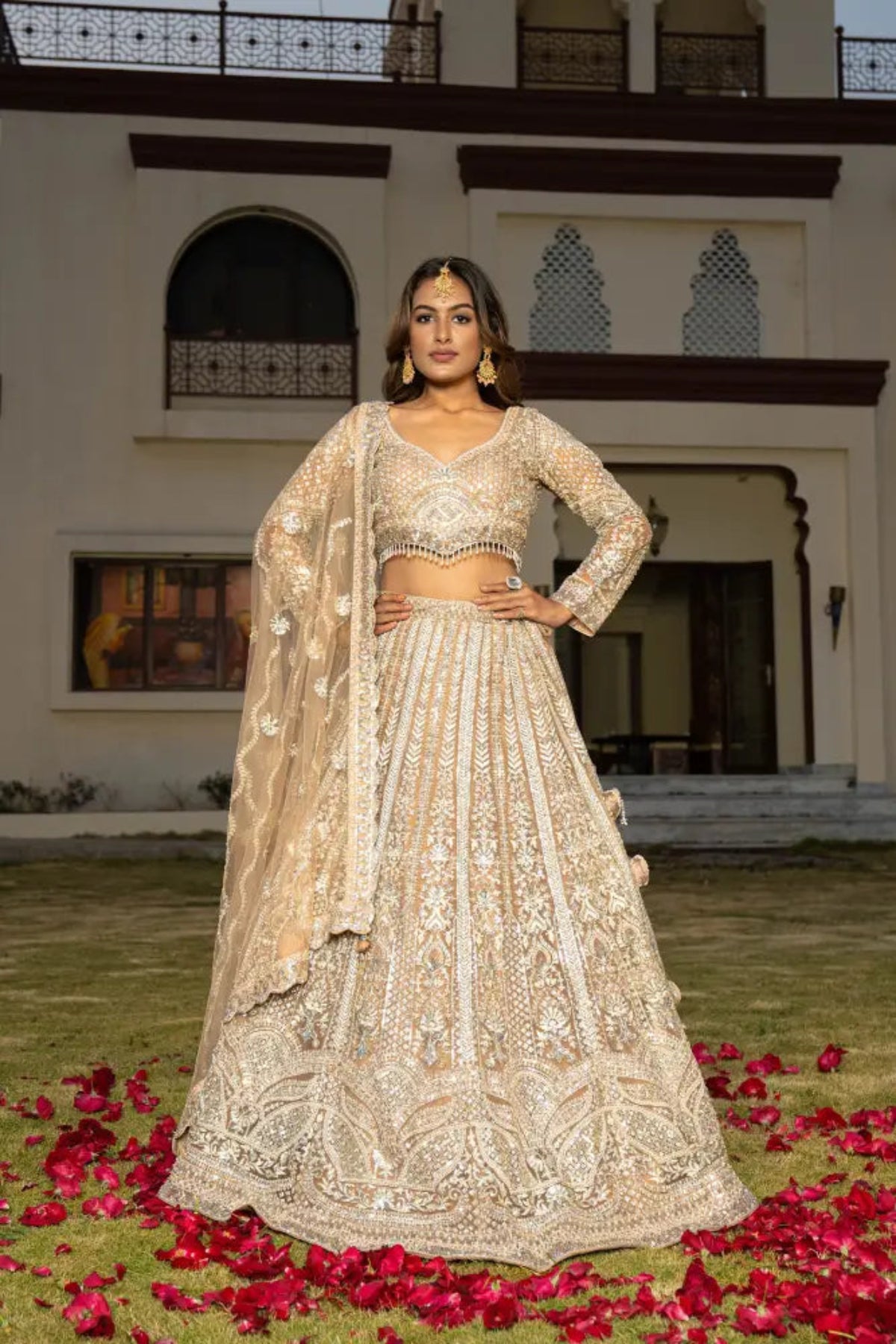 Champagne Net Lehenga