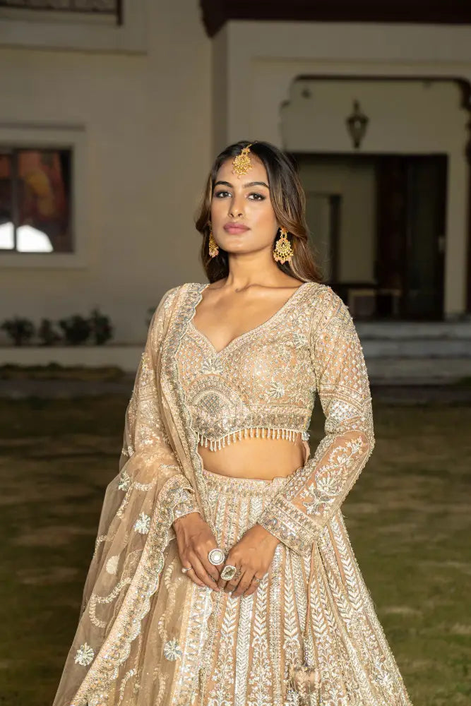 Champagne Net Lehenga