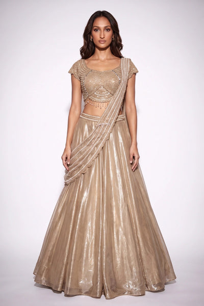 Lumière Lehenga Set