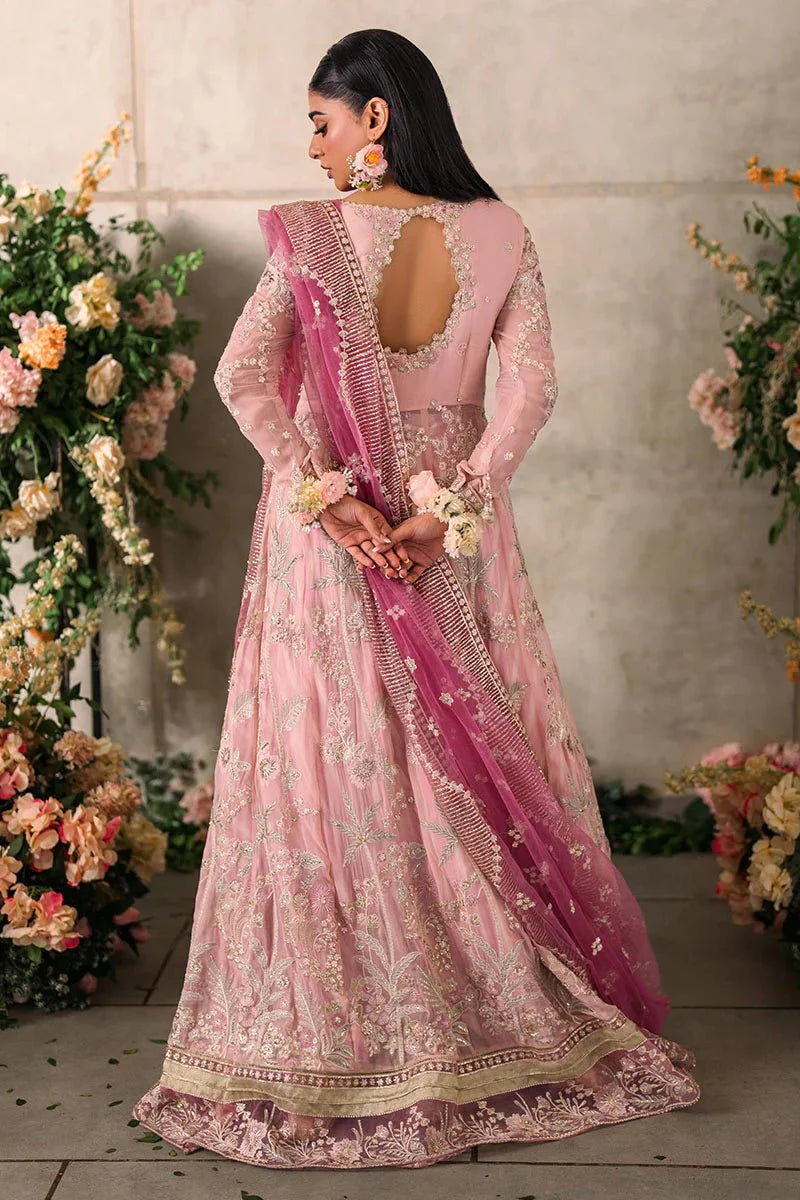 Pink Anarkali Gown - Dorie