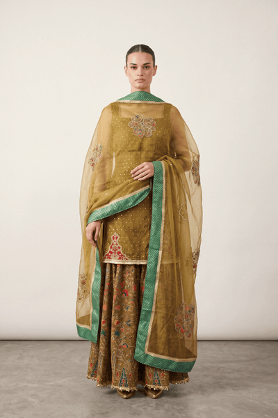 Olive Lumière Sharara Set
