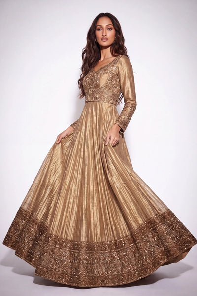 Orée Anarkali Gown