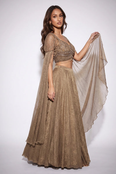 Patine Lehenga Set