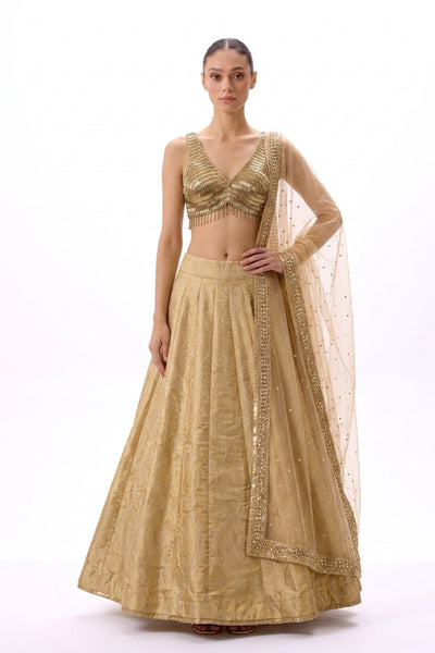 Sunehri Lehenga Set
